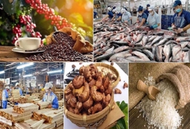 Banks encouraged to join $3.8 bln credit package for agro-forestry and fishery enterprises