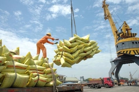 Vietnam’s export rice prices on the rise
