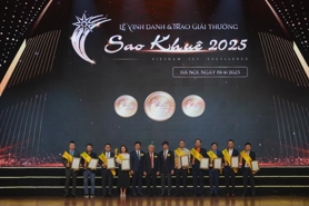 Sao Khue Awards 2025 honors outstanding achievements in digital innovation