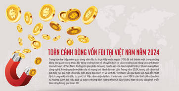Toàn cảnh dòng vốn FDI tại Việt Nam năm 2024