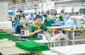 Chiến lược ESG "thực chiến" cho doanh nghiệp Việt: Học hỏi từ các tập đoàn hàng đầu Hàn Quốc