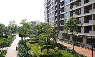 Kiểm tra tiến độ các dự án nhà ở xã hội trên địa bàn Thủ đô