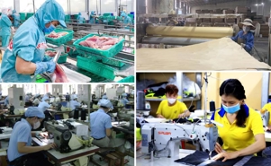 NA adopts resolution on special mechanisms and policies for private economy development