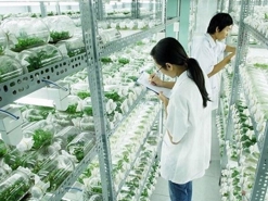 Hanoi to start zoning plan for first hi-tech biological park