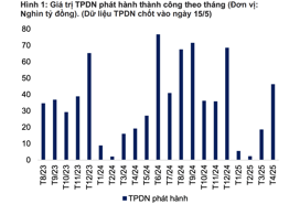 Phát hành trái phiếu doanh nghiệp tăng đột biến 148%, nhóm bất động sản đã xuất hiện trở lại