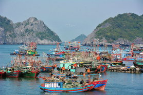 Hải Phòng, Thái Bình, Quảng Ninh nỗ lực gỡ thẻ vàng thủy sản