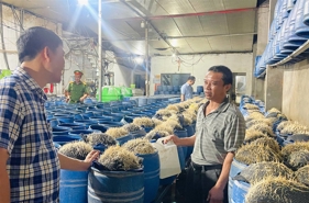 Lào Cai triệt phá 2 cơ sở dùng chất độc hại sản xuất hàng trăm tấn giá đỗ 