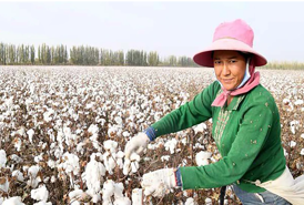 Sợi bông Việt Nam có nguy cơ bị áp thuế tự vệ tại Indonesia 