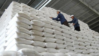 VCCI: Quy định Dự thảo về kinh doanh xuất khẩu gạo còn mang tư duy “không quản được thì cấm”