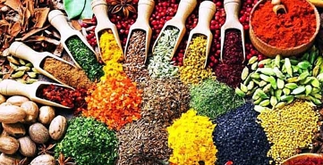 Tăng cường kiểm soát nghiêm ngặt chất lượng thuốc ngay từ nguyên liệu đầu vào