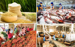 PM directs to boost production, consumption and export of farm produce