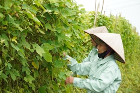 Chương trình CSI 2025: Khuyến khích doanh nghiệp đi từ “tuân thủ” lên “đổi mới sáng tạo” trong kinh doanh bền vững