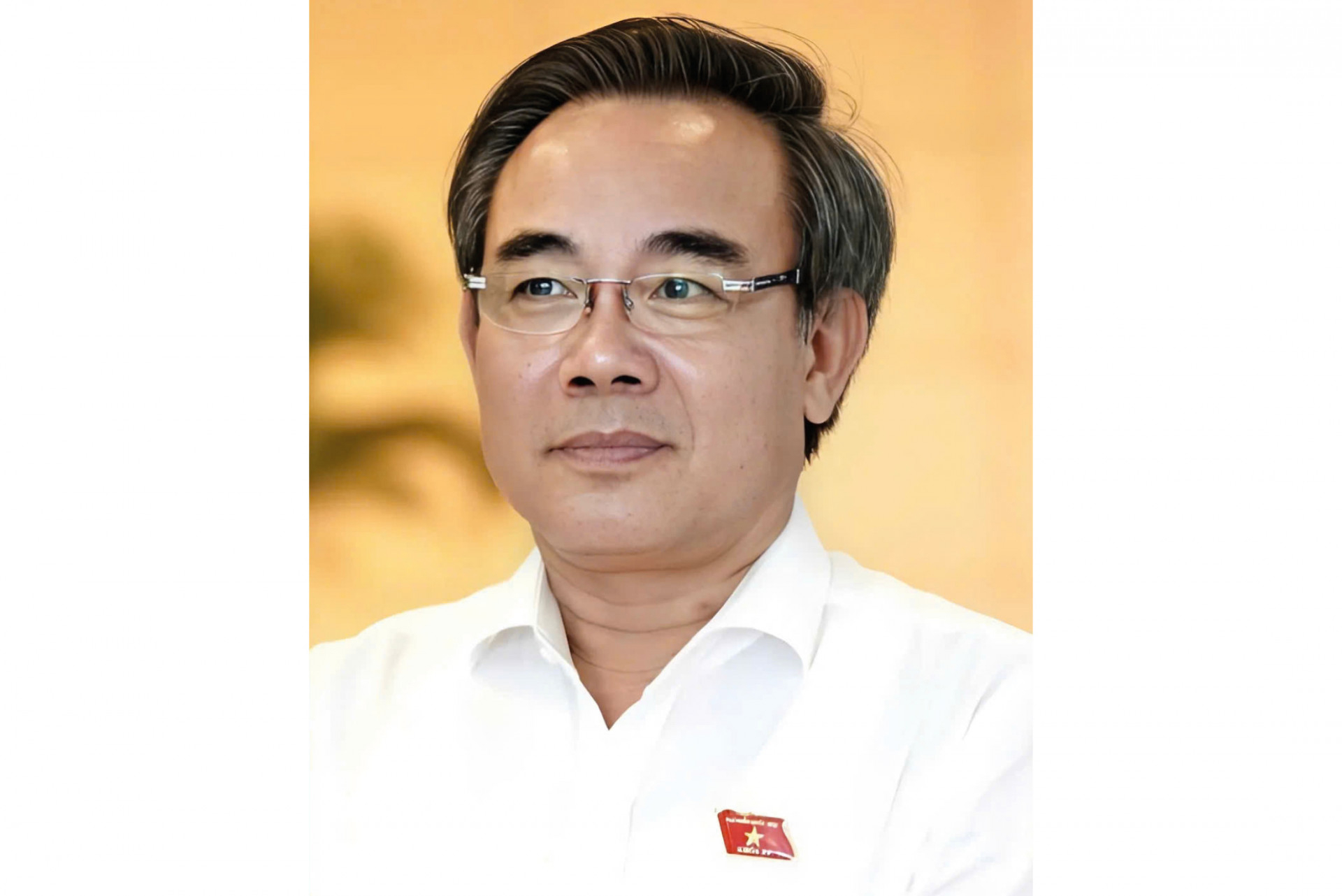 Đại biểu Quốc hội Lê Hữu Trí, Đoàn Khánh Hoà