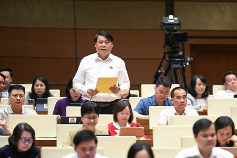 Đại biểu Nguyễn Thành Nam, đoàn ĐBQH tỉnh Phú Thọ.