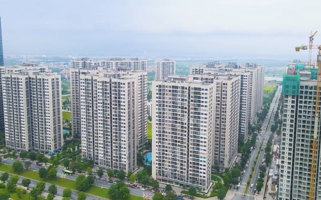 Ảnh minh họa.
