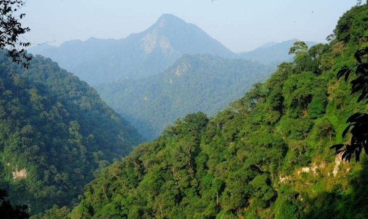 Với tổng diện tích hơn 647.000 ha rừng tự nhiên, tỉnh Thanh Hóa đang sở hữu tiềm năng lớn về cung cấp tín chỉ carbon