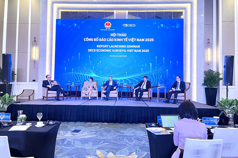 C&aacute;c đại biểu thảo luận tại Hội thảo.