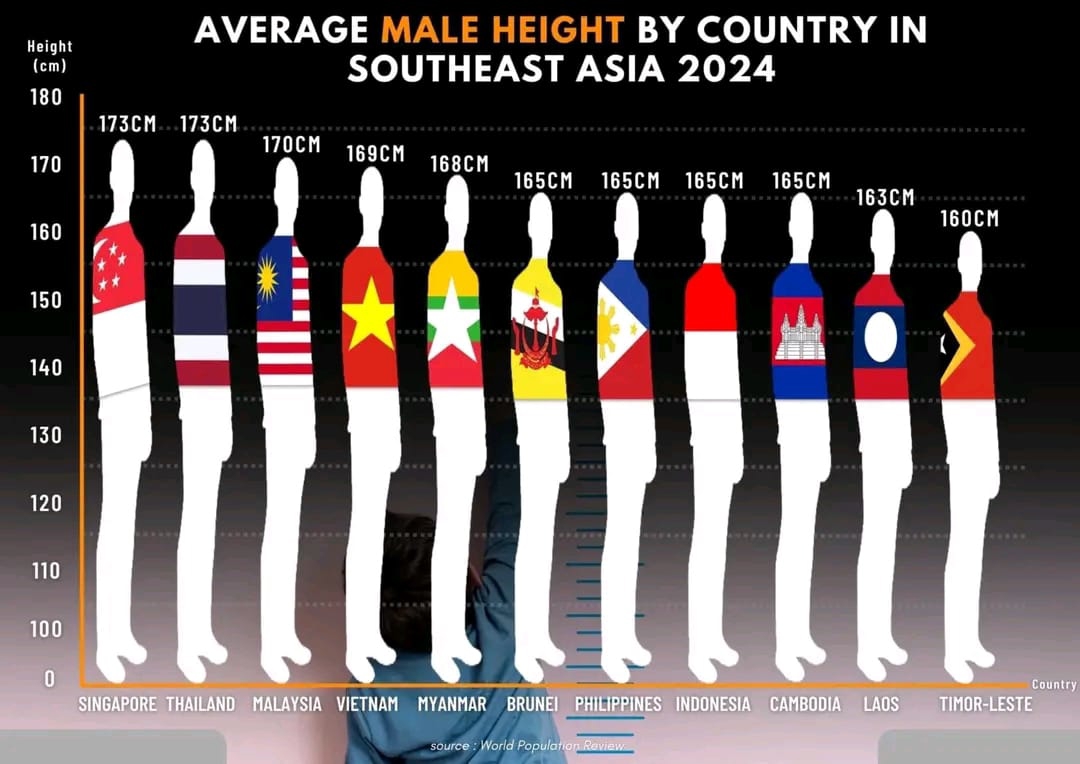 Chiều cao trung b&igrave;nh nam giới của từng quốc gia trong khu vực Đ&ocirc;ng Nam &Aacute; năm 2024. Nguồn:&nbsp;World Population Review