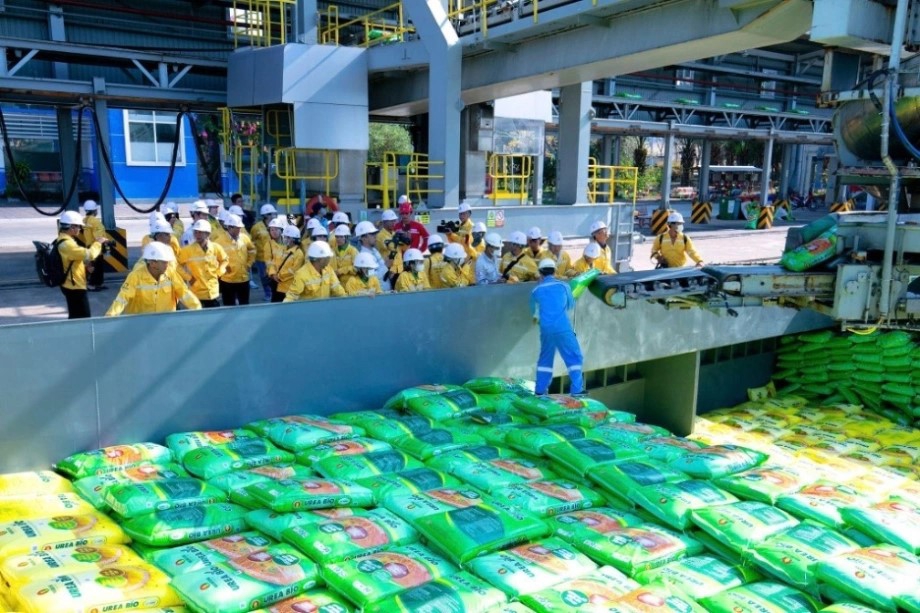 Gi&aacute; th&agrave;nh ph&acirc;n b&oacute;n được dự b&aacute;o sẽ tiếp tục tăng trong thời gian tới, buộc c&aacute;c doanh nghiệp trong ng&agrave;nh phải &ldquo;đau đầu&rdquo; t&igrave;m phương &aacute;n ứng ph&oacute; nhằm c&acirc;n đối chi ph&iacute; v&agrave; duy tr&igrave; sức cạnh tranh.