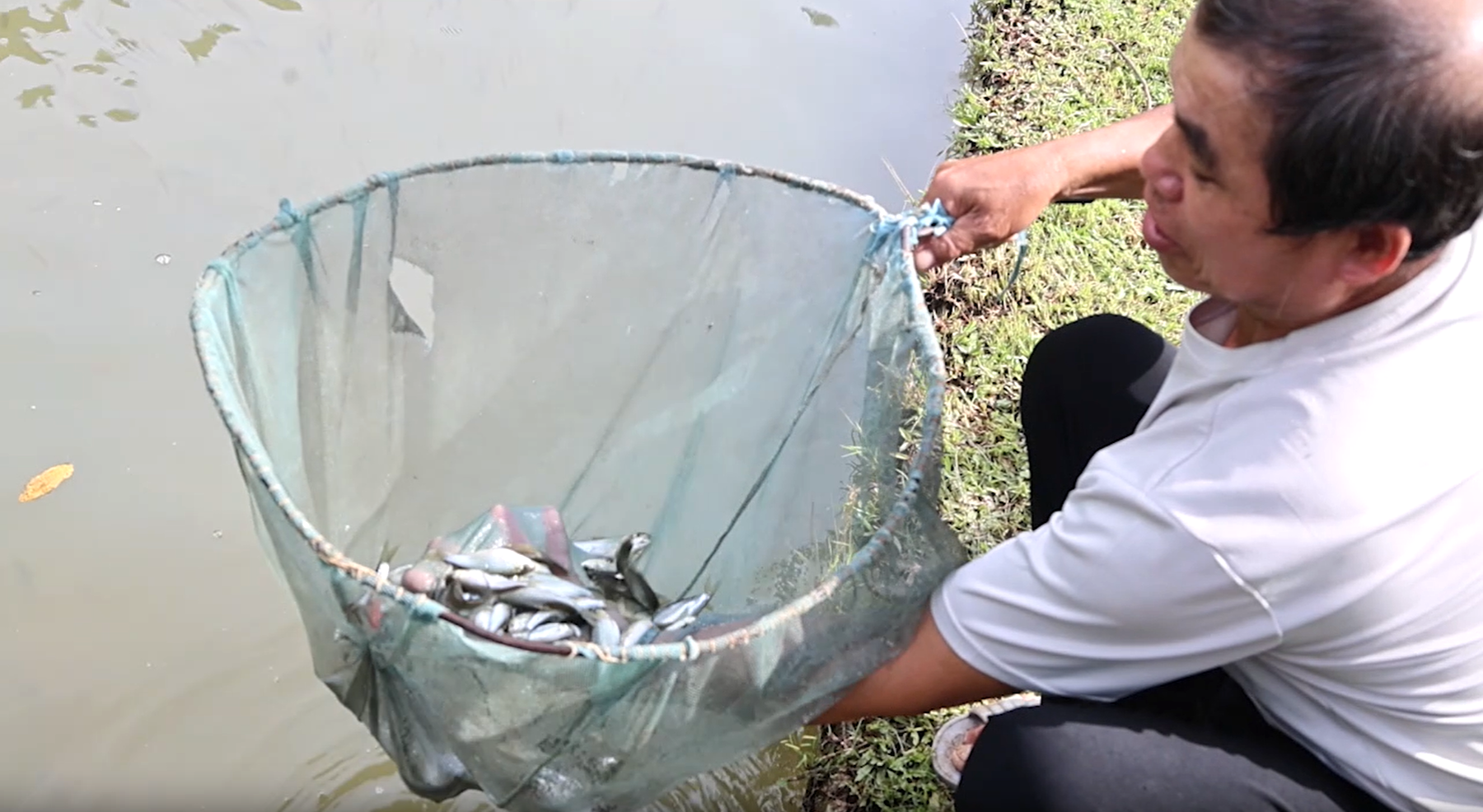 Gia đình ông Khường hỗ trợ cá giống, kỹ thuật và cả vốn giúp nhiều hộ gia đình trong bản nuôi cá dầm xanh, phát triển kinh tế