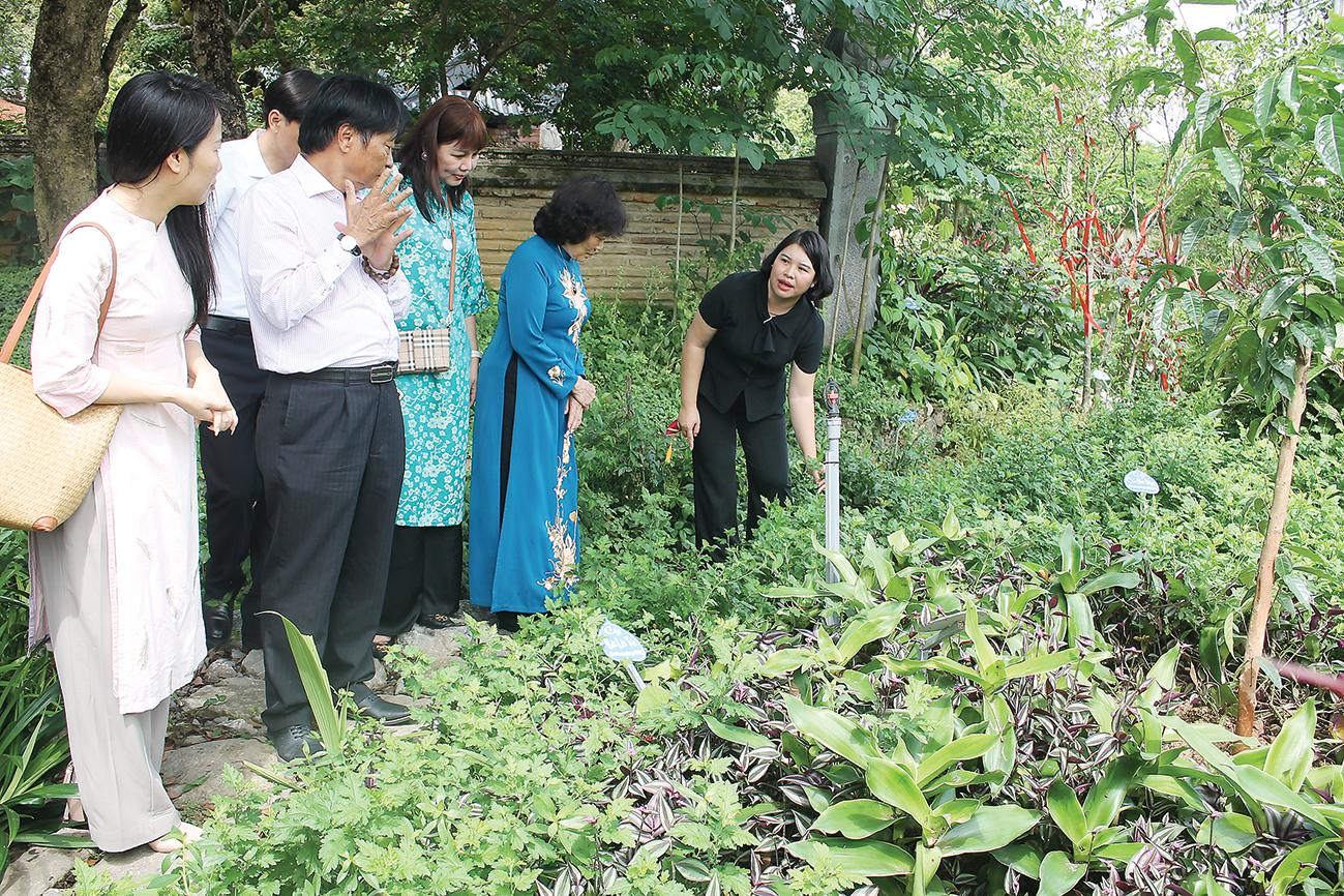 Tham quan vườn cây dược liệu ở Đền Thánh Nguyễn, Gia Viễn, Ninh Bình. Ảnh CK.