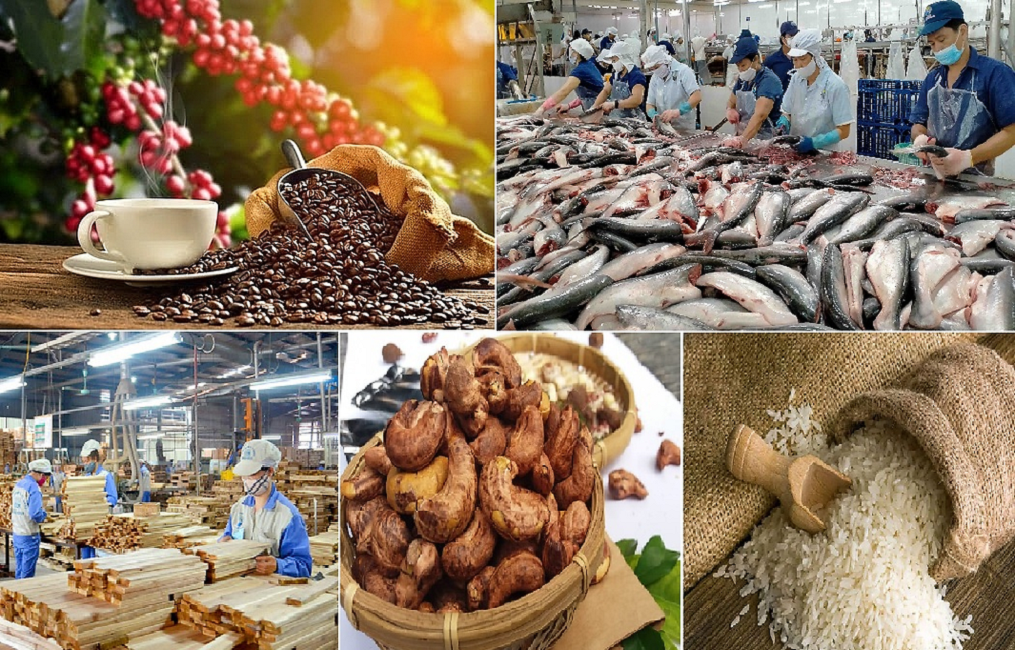 Trong nửa đầu năm 2025, toàn ngành nông nghiệp vẫn ghi nhận những tín hiệu tích cực trong hoạt động xuất khẩu.
