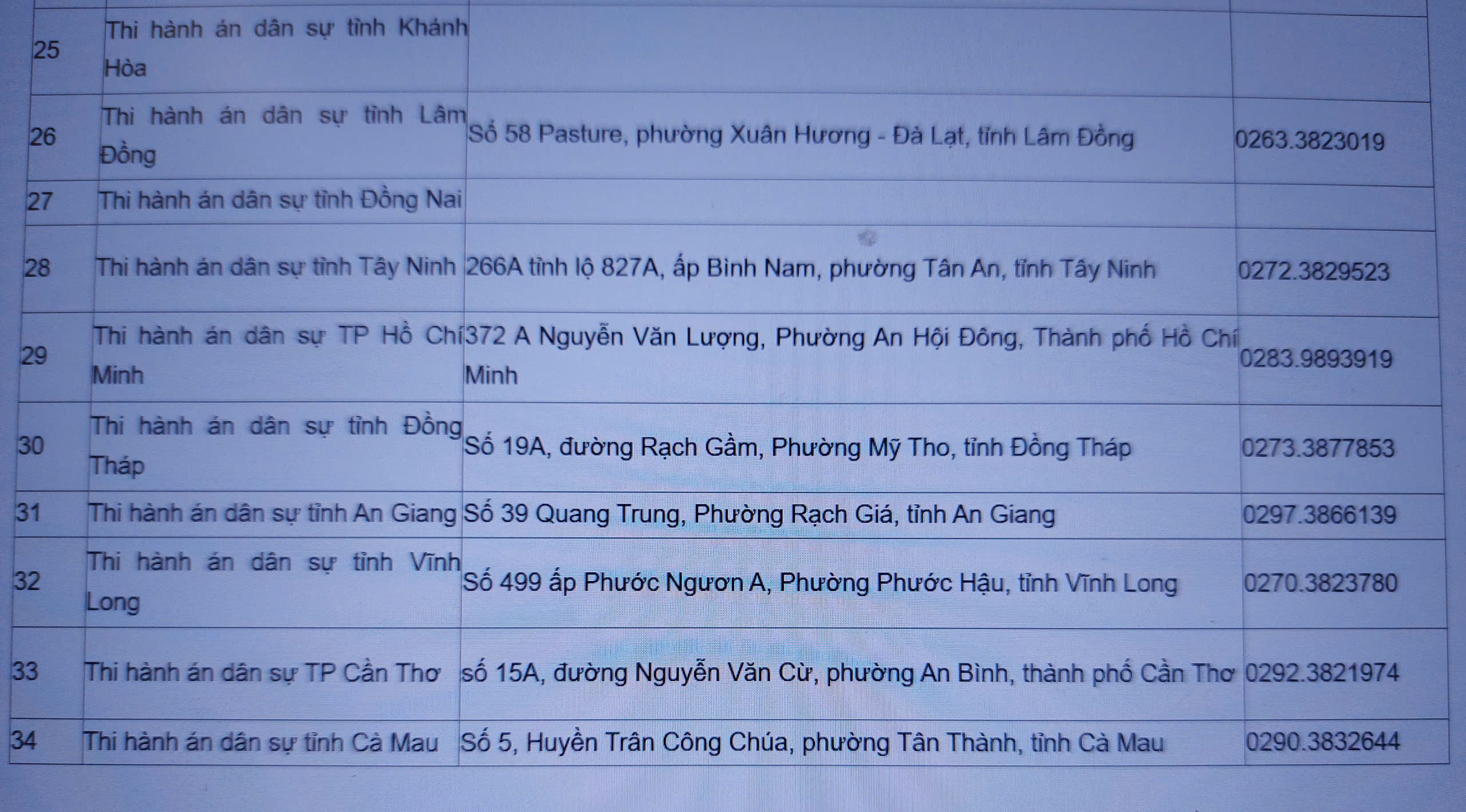 Thông tin chi tiết 34 thi hành án dân sự tỉnh, thành phố. Ảnh chụp màn hình.