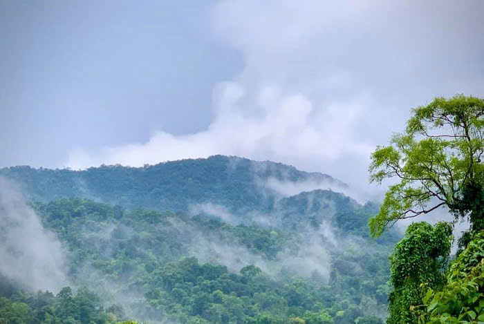  Vườn quốc gia Vũ Quang.