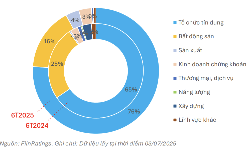 Cơ cấu phát hành trong 6 tháng đầu năm 2025
