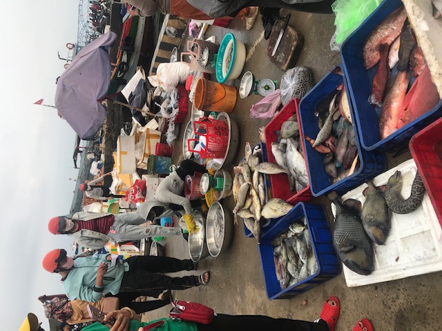 Cảng c&aacute; L&yacute; Sơn, Quảng Ng&atilde;i. Ảnh Ng&ocirc; Anh Văn