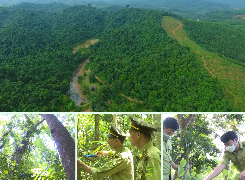 Vườn quốc gia Bến En, tỉnh Thanh Hoá