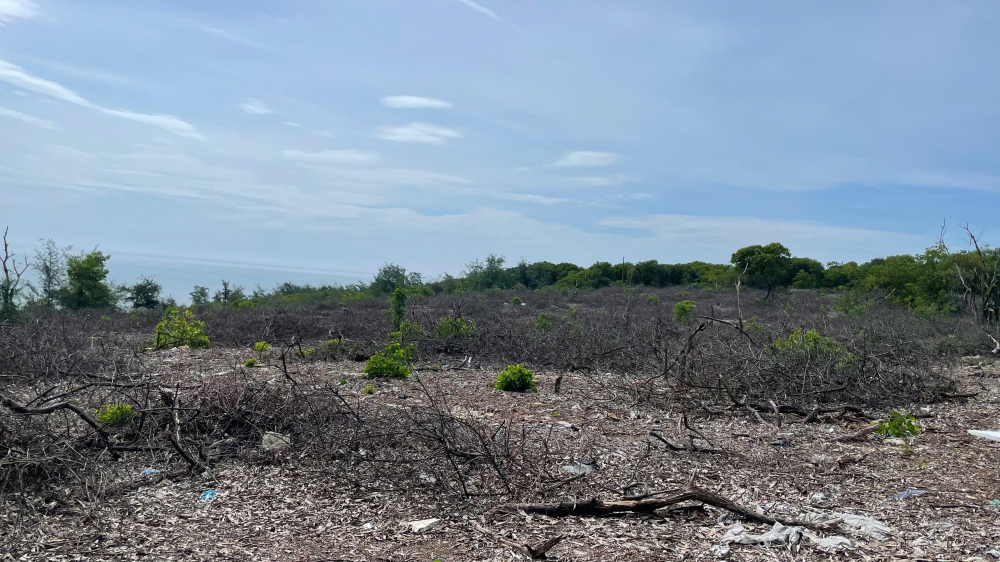 Tổng diện tích rừng bị khai thác trái phép tại phường Phong Quảng là hơn 3ha