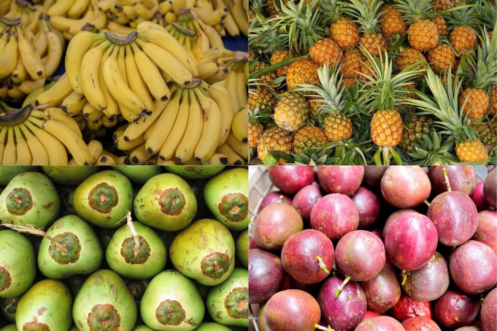 Chanh leo, dứa, dừa, chuối nhiều triển vọng xuất khẩu