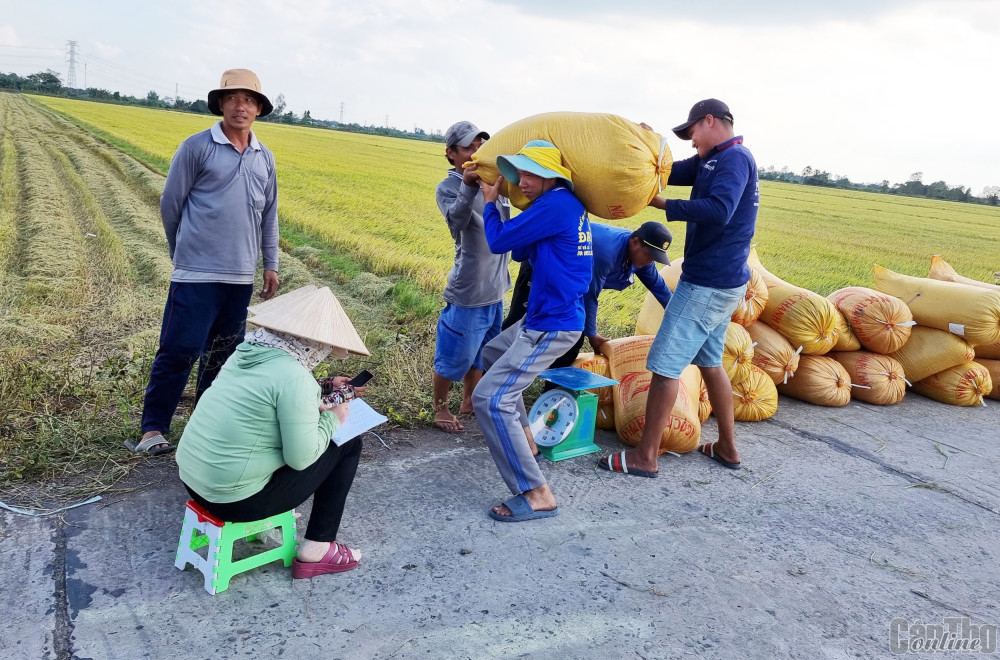 Hộ kinh doanh không chỉ là nơi tạo việc làm, mà còn là "huyết mạch" mang lại sự năng động và linh hoạt cho nền kinh tế. 