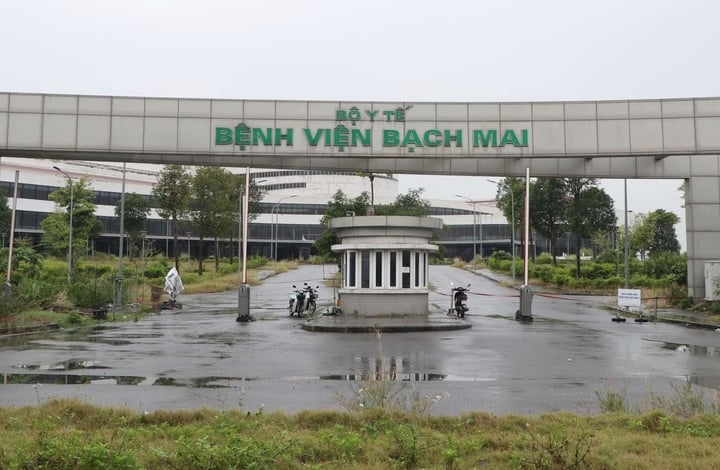 Ảnh minh họa.
