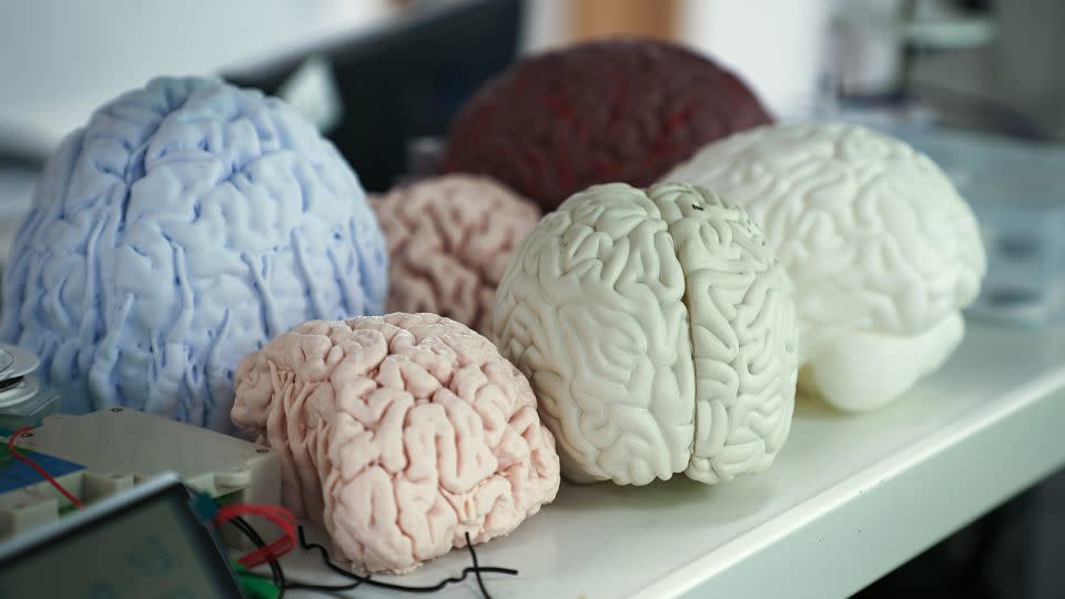 Mô hình não bộ được trưng bày bên trong phòng thí nghiệm CIBR tại Bắc Kinh, Trung Quốc.