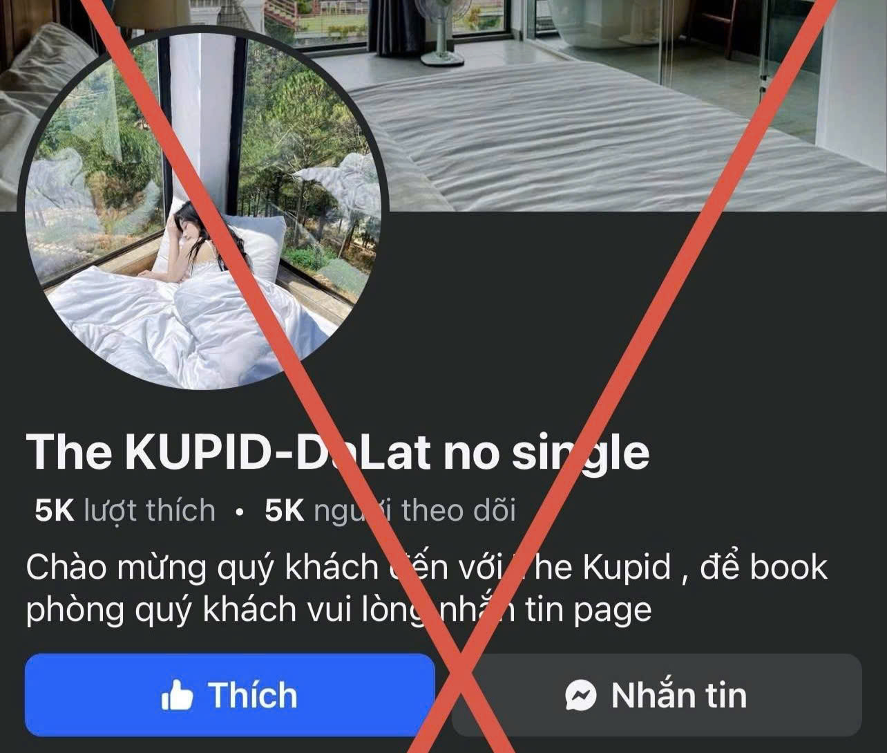 Một số fanpage mà các đối tượng làm giả nhằm chiếm đoạt tài sản của khách du lịch.