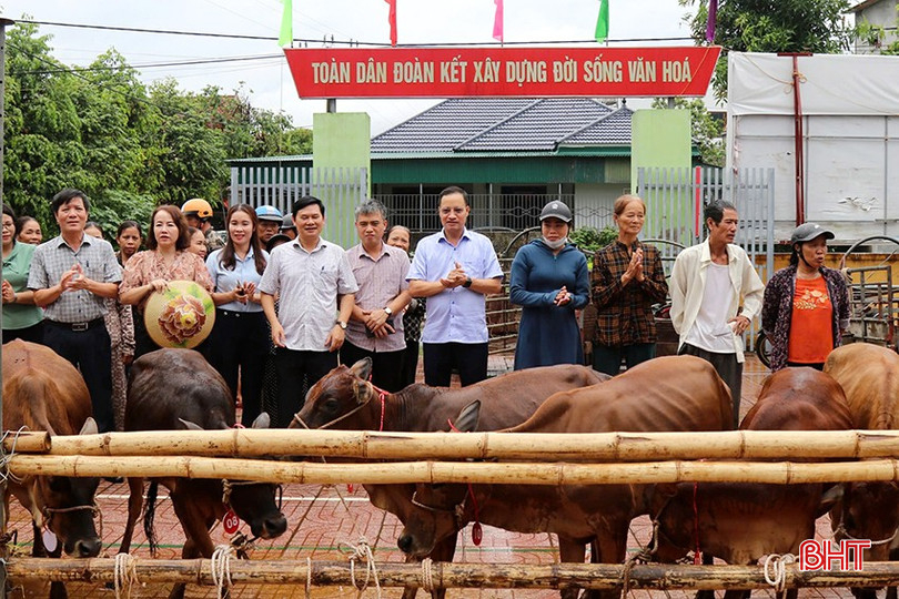 Mỗi hộ dân sẽ được nhận một con bò sinh sản trị giá 10 triệu đồng để chăn nuôi phát triển kinh tế. Ảnh: HD