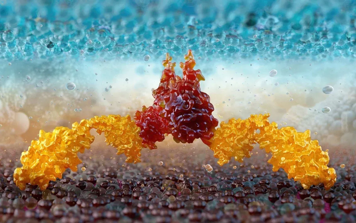 H&igrave;nh ảnh 3D về liệu ph&aacute;p tế b&agrave;o CAR-T.