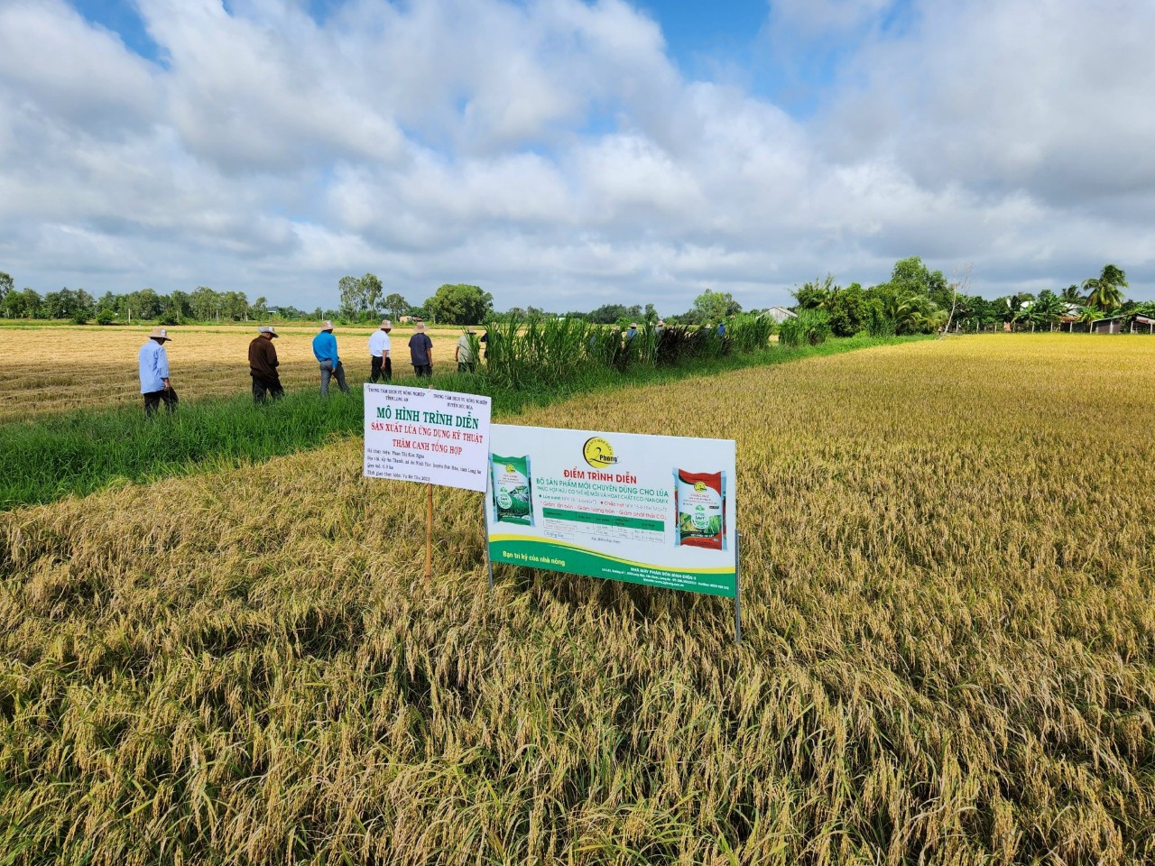 c&aacute;c m&ocirc; h&igrave;nh 