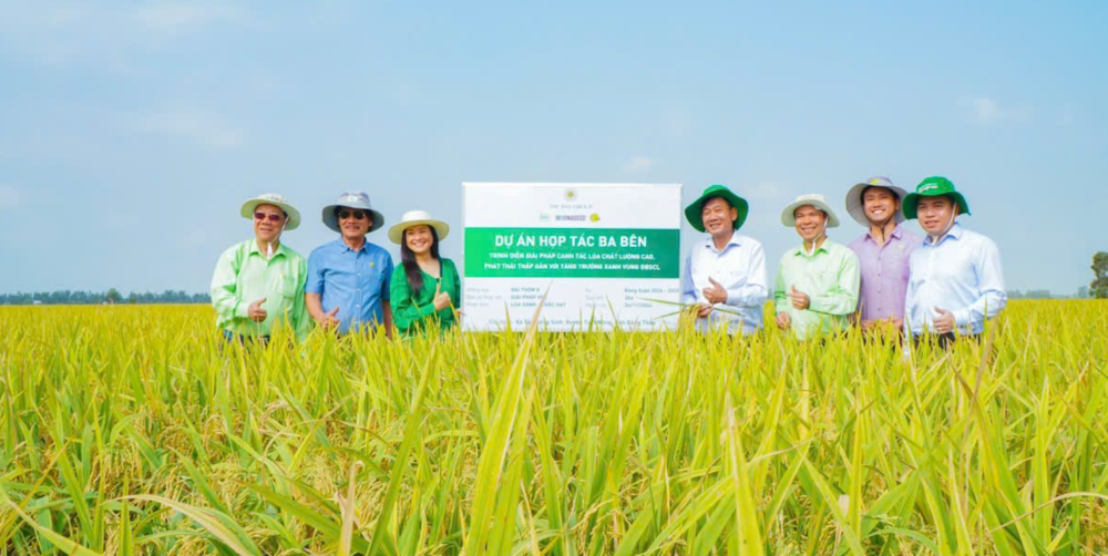 Một mô hình trồng lúa giảm phát thải tại tỉnh Đồng Tháp.