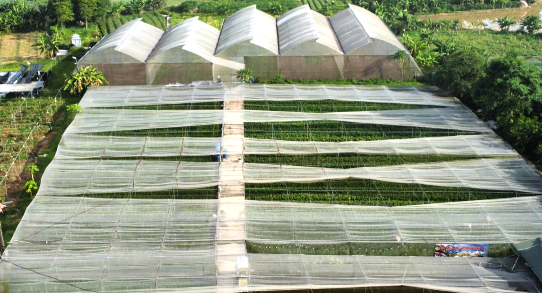 Một góc nông trại của gia đình chị Tống Thị Hiền phường Đông Tiến, tỉnh Thanh Hóa.