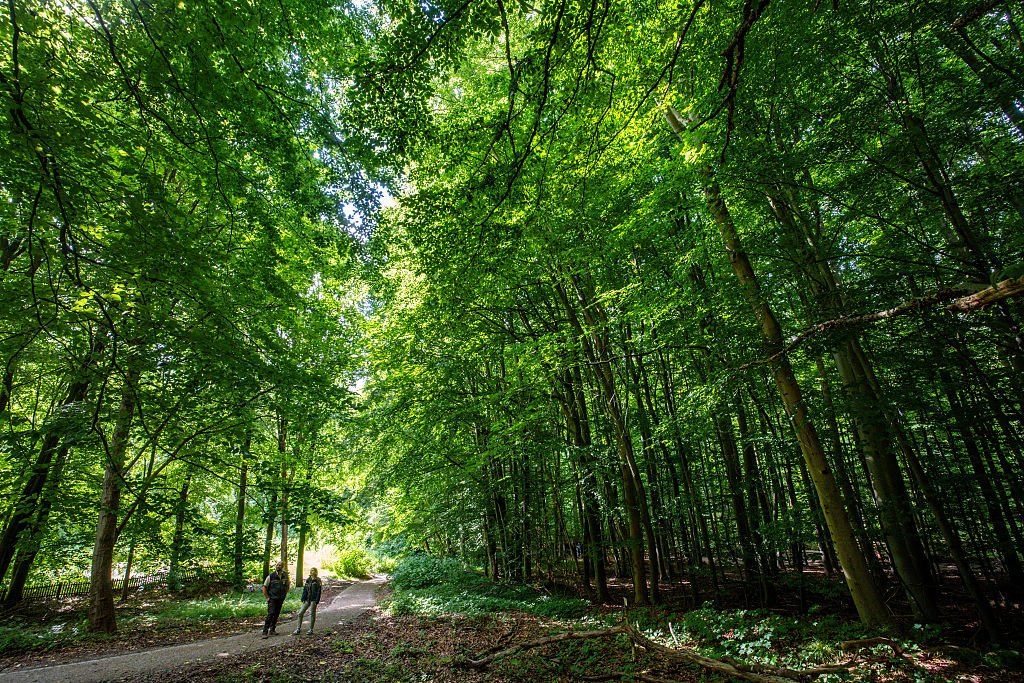 Chính phủ Việt Nam đã cam kết đạt phát thải ròng bằng 0 (Net Zero) vào năm 2050, cùng với các mục tiêu cụ thể về năng lượng sạch vào năm 2030.