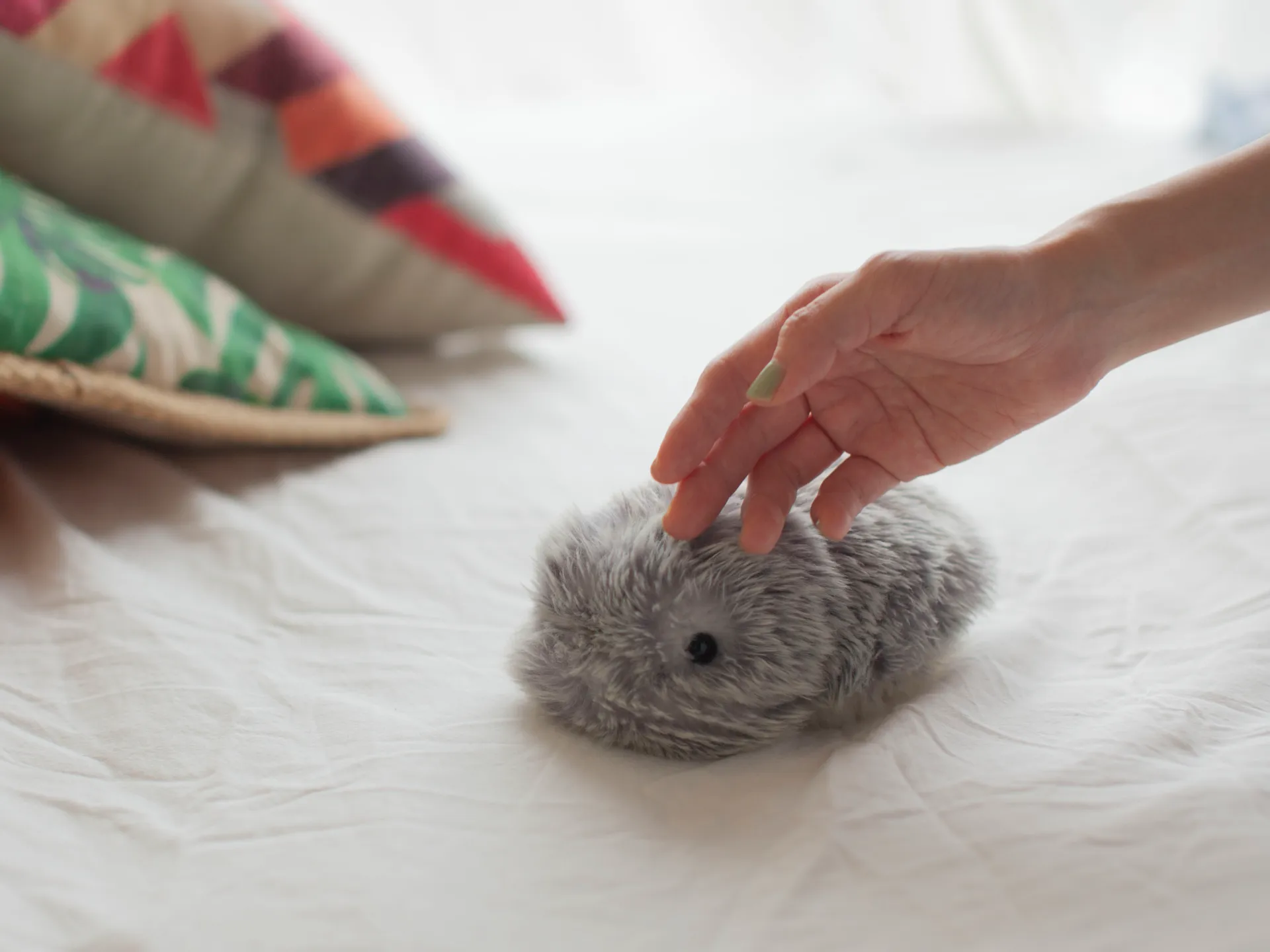 Robot th&uacute; cưng Moflin.