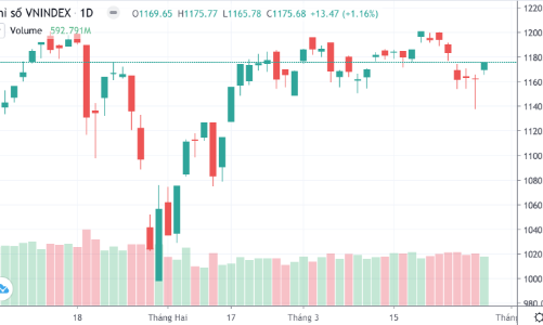 Thanh khoản giảm mạnh, Vn-Index vẫn tăng hơn 13 điểm