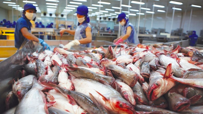 Dự báo xuất khẩu thủy sản sang Trung Quốc tháng 4 và những tháng tới sẽ hồi phục mạnh hơn.