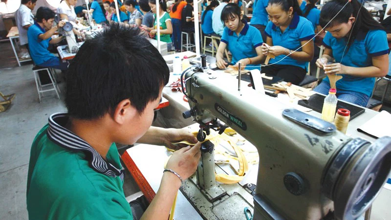 Khu vực doanh nghiệp nhỏ và vừa chiếm 98% tổng số doanh nghiệp cả nước.
