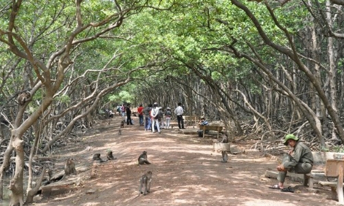 Tp.HCM định hướng Cần Giờ sẽ là thành phố du lịch