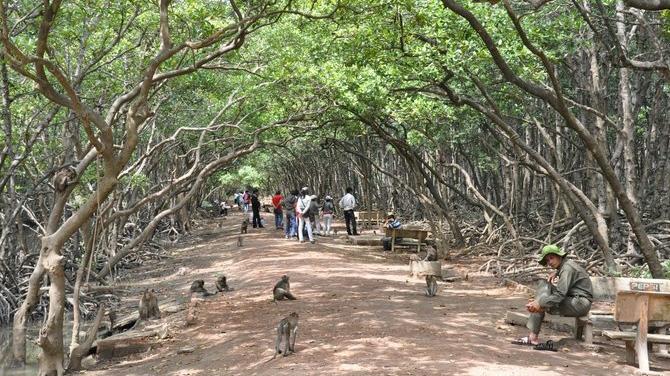 Khu du lịch sinh thái Rừng Sác Cần Giờ.