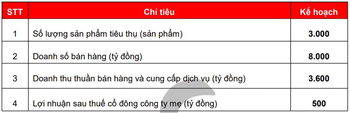 Kế hoạch kinh doanh 2021 của An Gia